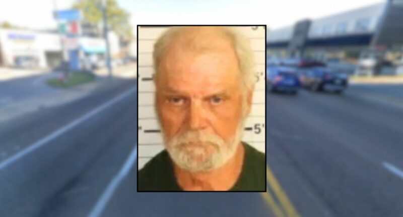 Woman whose car broke down hit by Honda Pilot driver: Cops