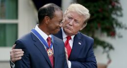 Woods 'called Trump after crash' as golf icon's arrest takes new twist