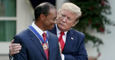 Woods 'called Trump after crash' as golf icon's arrest takes new twist