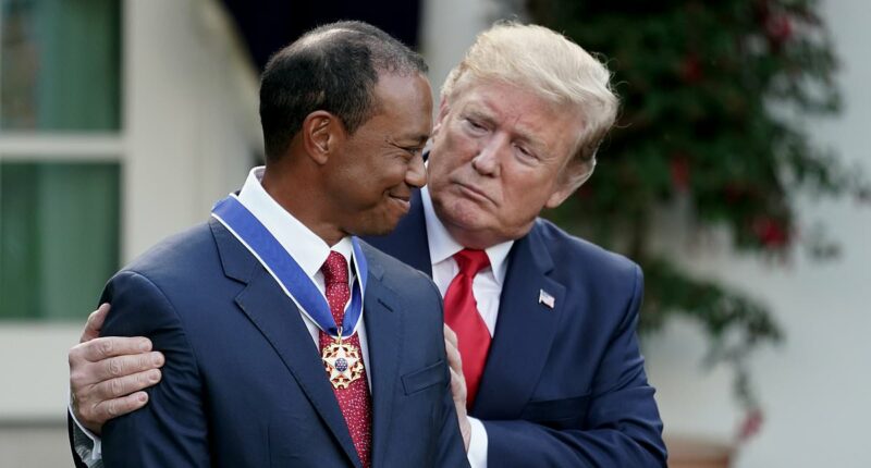 Woods 'called Trump after crash' as golf icon's arrest takes new twist