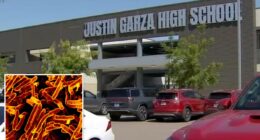 World's deadliest disease rips across California as clusters discovered at schools