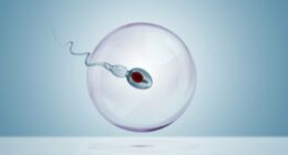 World's first Sperm Olympics: Men from over 100 countries are racing their swimmers for $100,000 amid America's fertility crisis