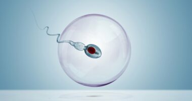 World's first Sperm Olympics: Men from over 100 countries are racing their swimmers for $100,000 amid America's fertility crisis