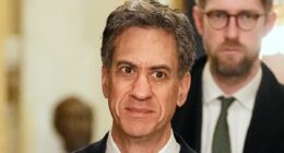 World's largest wind farm will massacre thousands of seabirds