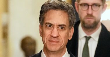 World's largest wind farm will massacre thousands of seabirds