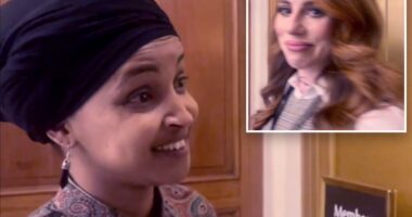 'You're stupid for asking me anything'