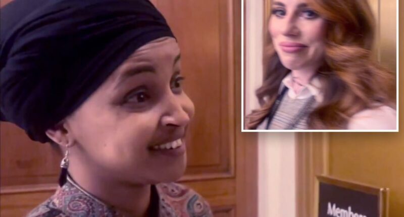 'You're stupid for asking me anything'