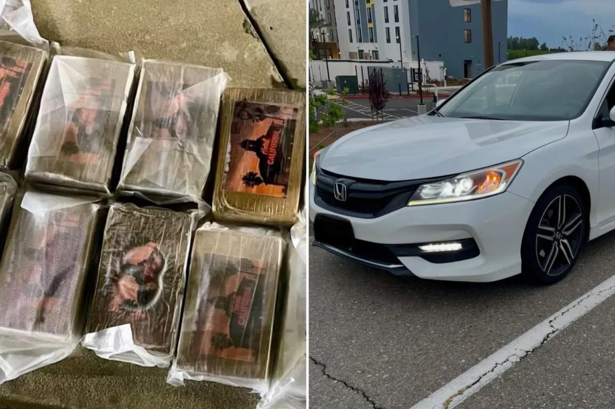 $1 Million Worth of Cocaine Seized in Major Central Valley Drug Bust ...