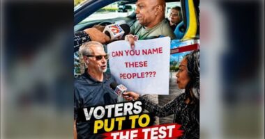 ‘Can you name this person?’: Voters put to the test in Florida’s governor race
