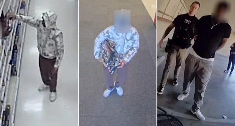 ‘Lego bandit’ accused in bizarre $34K scheme replacing minifigures with pasta