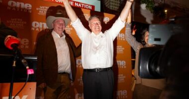 'A bomb going off in Canberra': What now for One Nation and the Coalition?