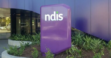 'A soft target for crooks': Shocking extent of NDIS fraud revealed