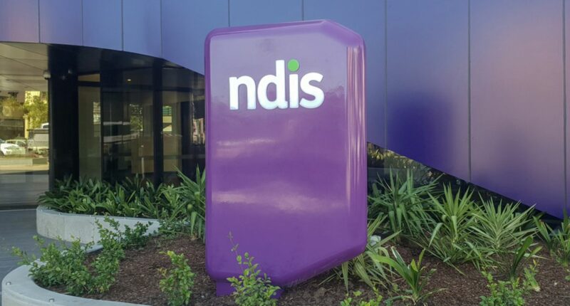 'A soft target for crooks': Shocking extent of NDIS fraud revealed