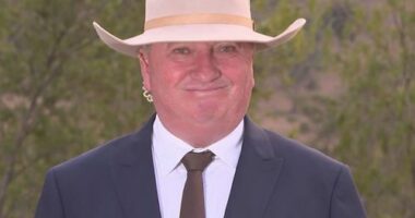 Joyce mocks Liberals over new poll