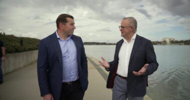 Speaking with 9News on the first anniversary of his re-election, Albanese said an extension to the reduced fuel excise, which is due to expire in July, won't be detailed in next week's Federal Budget.