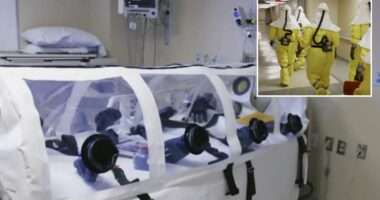 1 American returning from hantavirus-stricken cruise showing symptoms, another postive: HHS