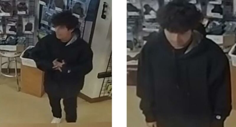 10 'random' Texas shootings leave multiple hurt, 2 arrested, another on the loose