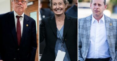 11 House seats move to GOP's favor after major redistricting wins for Trump