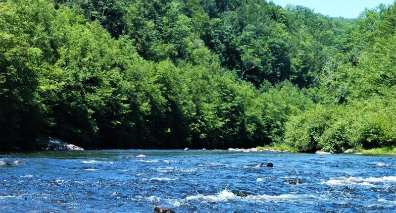 12-Year-Old Boy Dies After Raft Capsizes During School Trip in Pennsylvania