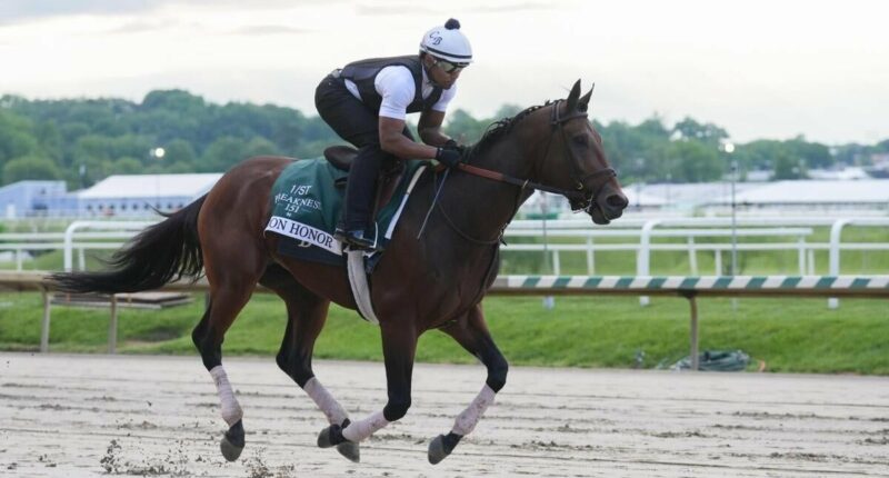 2026 Preakness Stakes horses, odds, predictions, post draw: Expert who has called 11 winners unveils picks