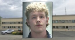 19-year-old almost hit woman's car, beat up her dad: Police