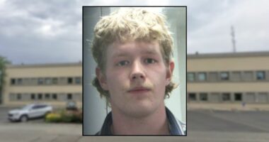 19-year-old almost hit woman's car, beat up her dad: Police
