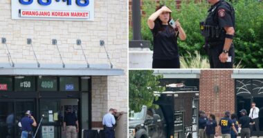 2 dead, 3 injured after deranged gunman, 69, opens fire at mall outside Dallas: cops