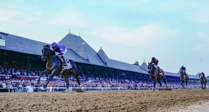 2026 Belmont Stakes odds, date, predictions: Expert who hit 4 of last 8 winners reveals horse racing picks
