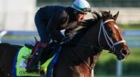2026 Kentucky Derby predictions, horses, odds, post time: Surprising picks by proven horse racing handicapper