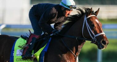 2026 Kentucky Derby predictions, horses, odds, post time: Surprising picks by proven horse racing handicapper
