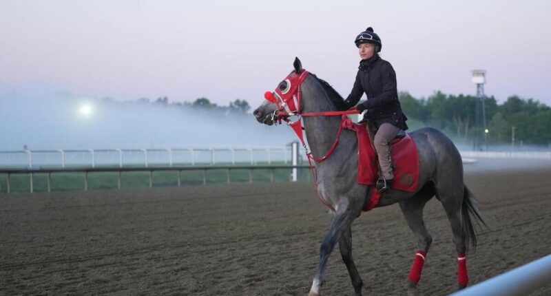 2026 Preakness Stakes horses, odds, predictions, post draw: Expert who nailed 11 winners locks in picks