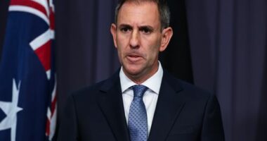 Treasurer Jim Chalmers