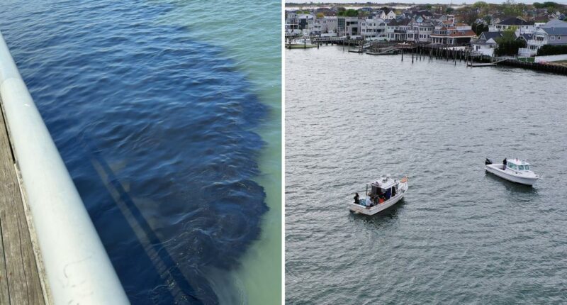30K gallons of nasty sewage waste accidentally unloaded in Long Island waterway