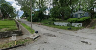 4-Year-Old Killed in Amazon Truck Hit-and-Run