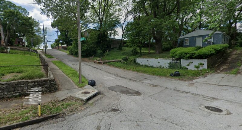 4-Year-Old Killed in Amazon Truck Hit-and-Run