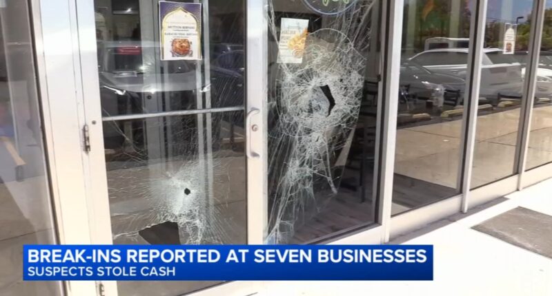 7 businesses broken into at strip mall in unincorporated Maine Township in Des Plaines, Cook County Sheriff's Office says
