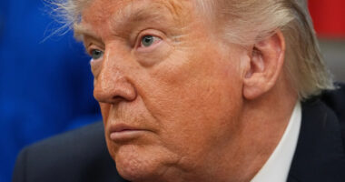 A Trump order aims to help more people get retirement savings plans in time for a new federal match