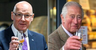 A vote against the SNP is a heartsore cry for something better