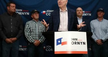What to expect in the Texas US Senate Republican primary runoff