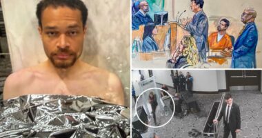Accused WHCD shooter Cole Allen pleads not guilty to attempting to assassinate Trump