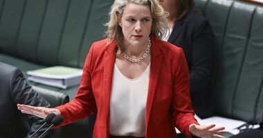 Ms O'Neil has been outspoken in her disappointment with the decision, which the Federal government opposed