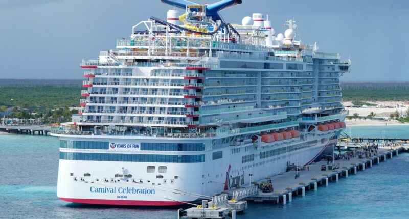 American cruise passenger dies after mobility scooter veers off pier in Bahamas