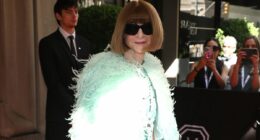Anna Wintour arrives on Met Gala carpet for fashion's biggest night