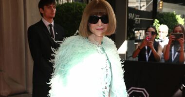Anna Wintour arrives on Met Gala carpet for fashion's biggest night