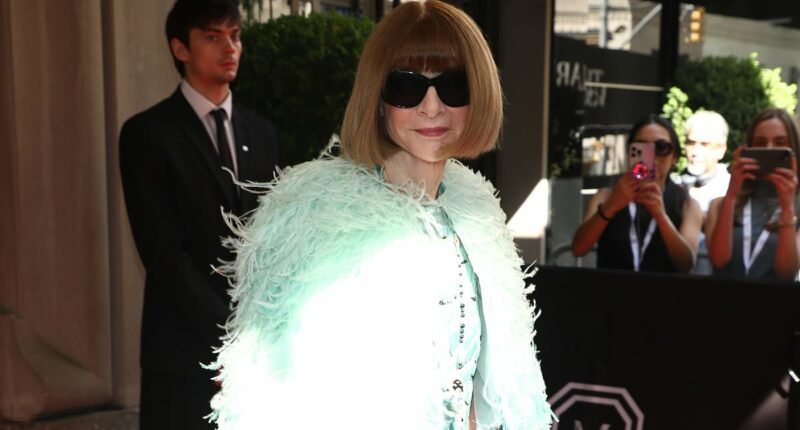 Anna Wintour arrives on Met Gala carpet for fashion's biggest night