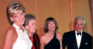 Anna Wintour took the Met Gala from society dinner to fashion's biggest event of the year... Now a former Vogue employee reveals the royal motivation behind it all