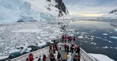Antarctica's tourism boom raises concerns about contamination and disease
