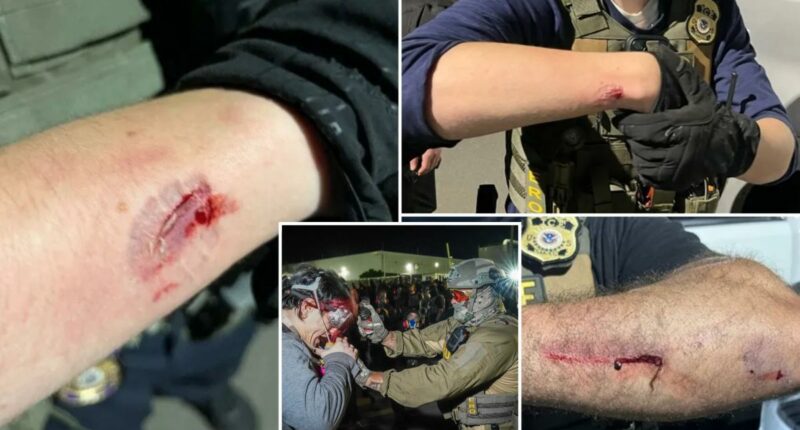 Anti-ICE agitator Brendan Geier charged with allegedly biting officers during NJ Delaney Hall protest