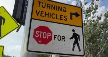 Apopka police search for driver in hit-and-run that left man critically injured