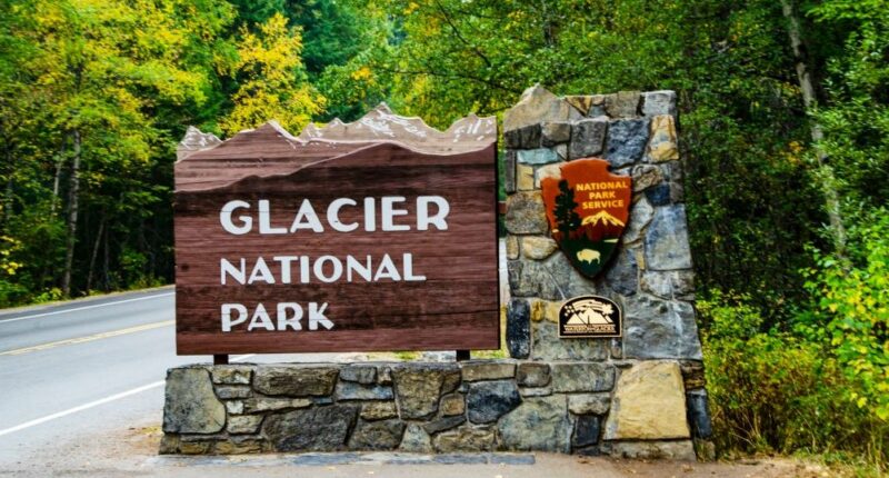 Apparent bear attack kills missing hiker in Montana's Glacier National Park